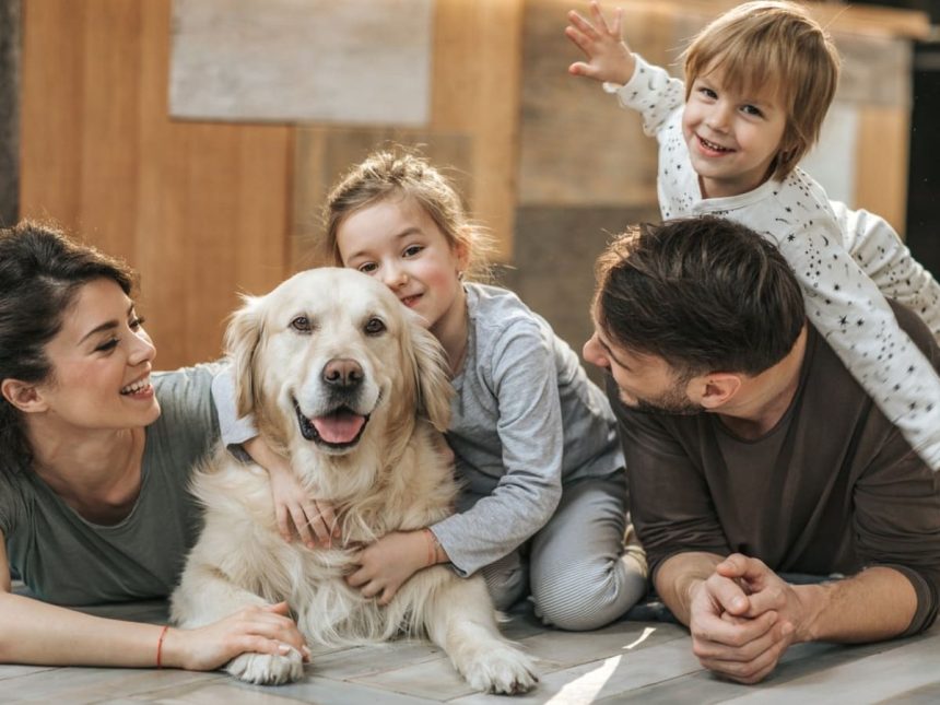 The Best Dog Breeds for Families