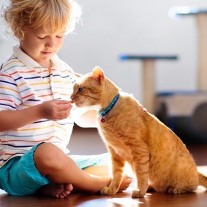 Best Cat Breeds for Families with Kids