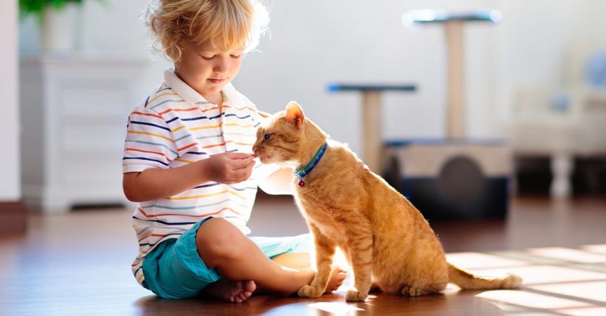 Best Cat Breeds for Families with Kids